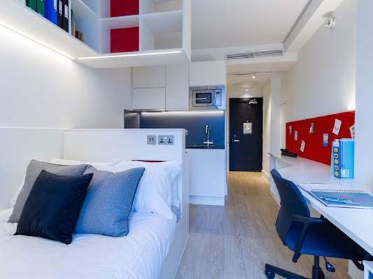 Bronze Studio room type